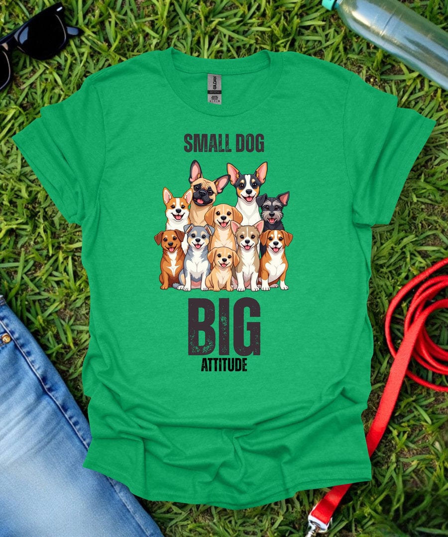 Big Attitude T-Shirt