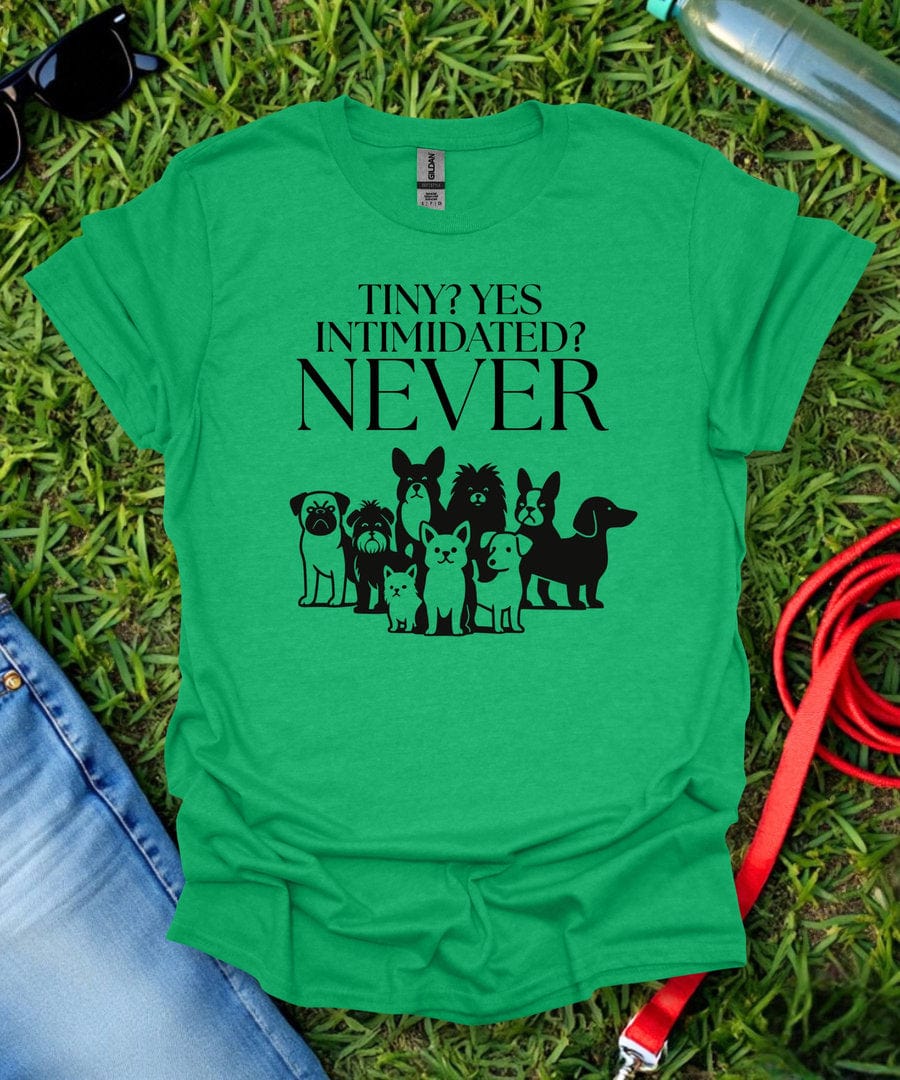 Never Intimidated T-Shirt