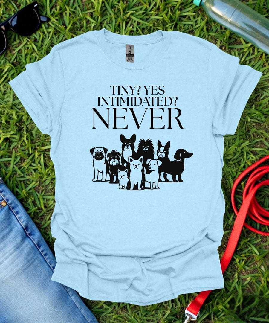 Never Intimidated T-Shirt