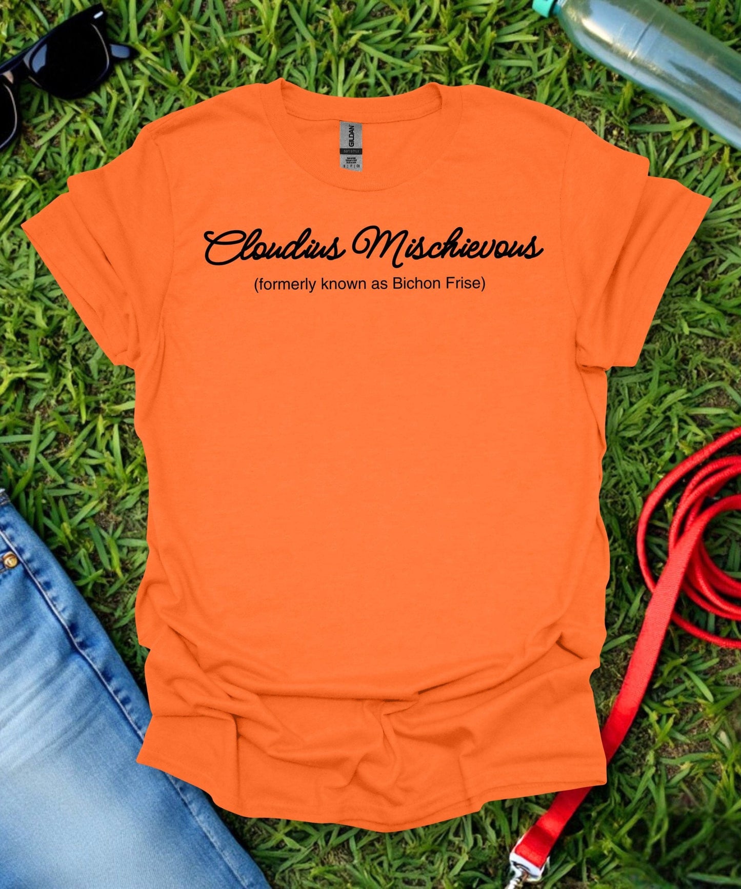 AKA Bichon Frise T-Shirt