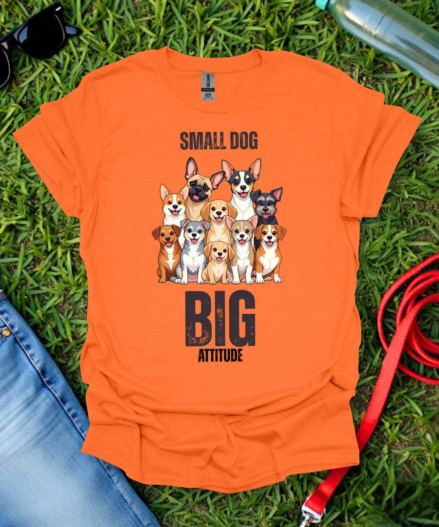 Big Attitude T-Shirt