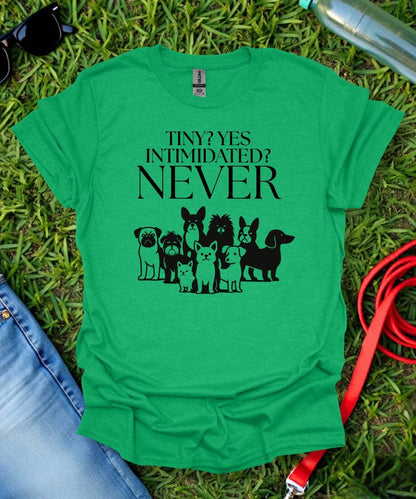 Never Intimidated T-Shirt