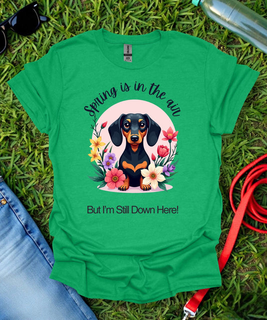 Dachshund (Short haired) Springtime T-Shirt