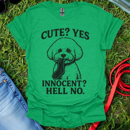 Innocent Bichon T-Shirt