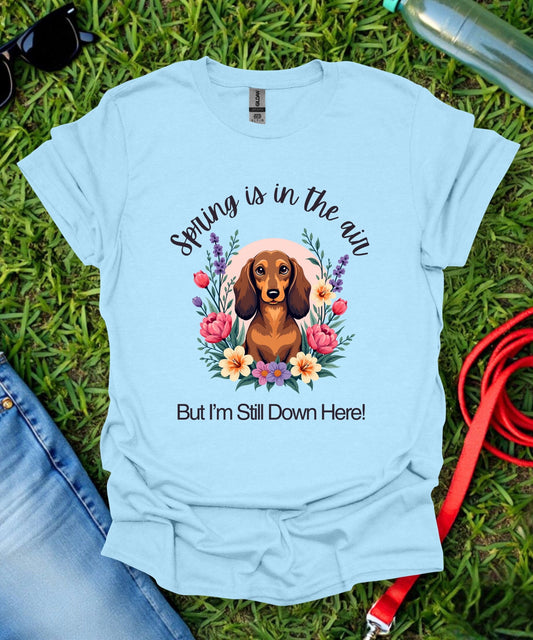 Dachshund (Long haired) Springtime T-Shirt