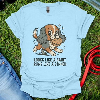Cavalier Saint T-Shirt