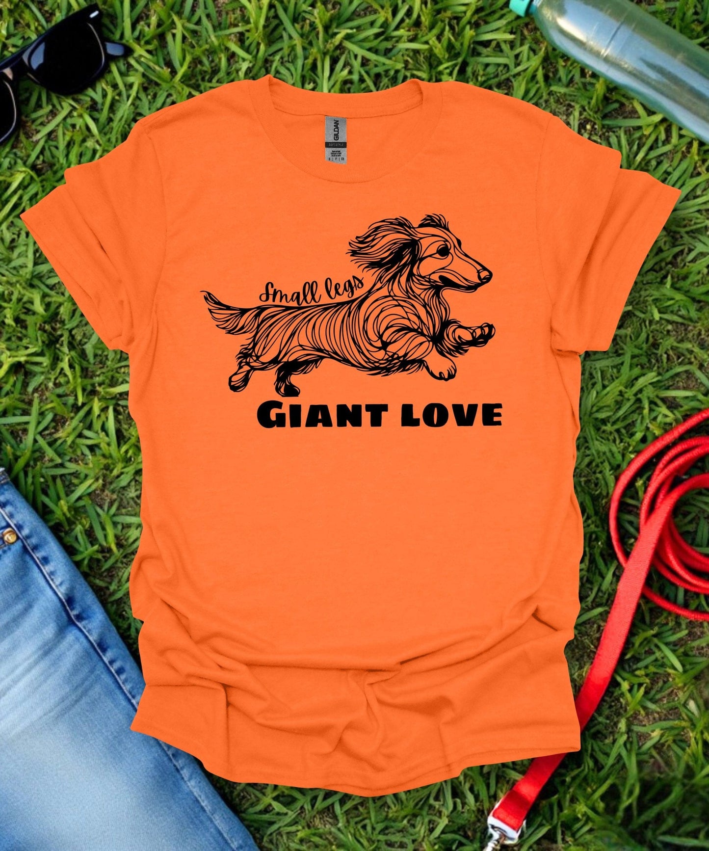 Small Legs, Giant Love (Long haired Dachshund)T-Shirt