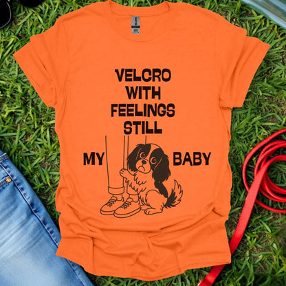 Cavalier Kid T-Shirt