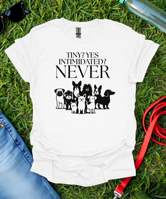 Never Intimidated T-Shirt